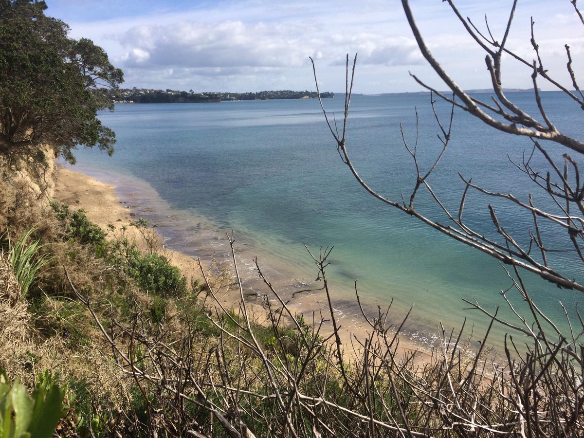 Beach Lodge Auckland Bagian luar foto