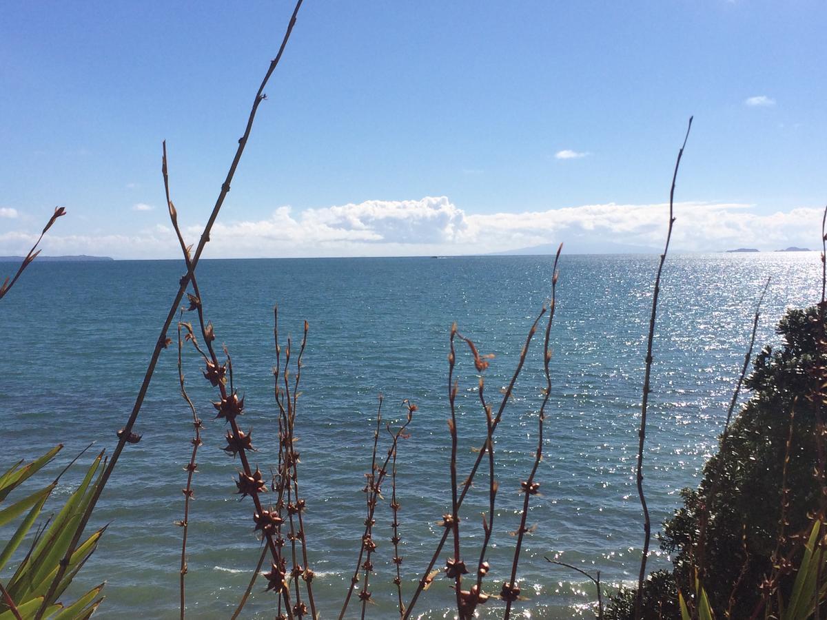 Beach Lodge Auckland Bagian luar foto